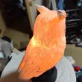 Đèn ngủ cú mèo xinh (Nice Owl Bedside Lamp) - Thumbnail 8