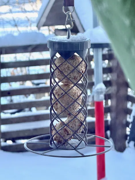 Máng ăn chim fat ball - Image 1