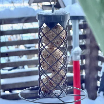 Máng ăn chim fat ball