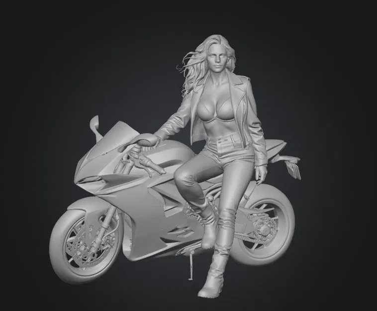 Tay Đua Ducati Giữa Tuyết Lạnh (Snowbound Ducati Rider) - Image 1