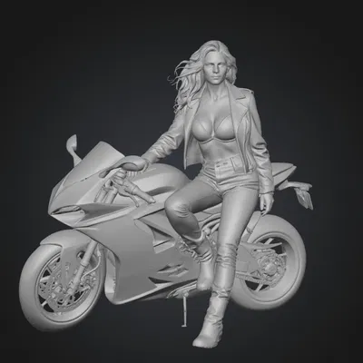 Tay Đua Ducati Giữa Tuyết Lạnh (Snowbound Ducati Rider)