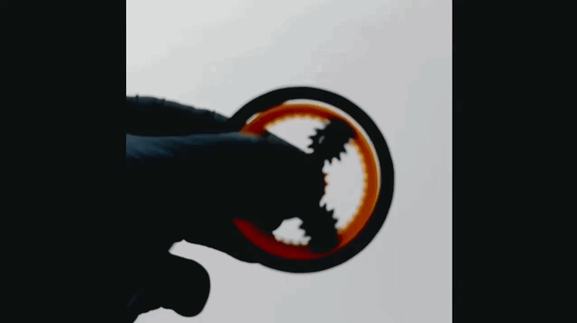 Fidget Spinner Bánh Răng Hành Tinh Straight Cut kiêm Gyro - Image 2