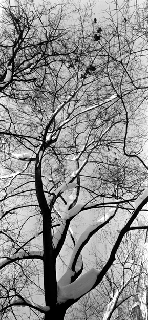 Fat Shot X – Camera film 120 đa định dạng (6x17, 6x14, 6x12, 6x9, 6x6) - Image 15