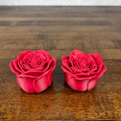 Hoa Để Bàn (Desk Flowers)