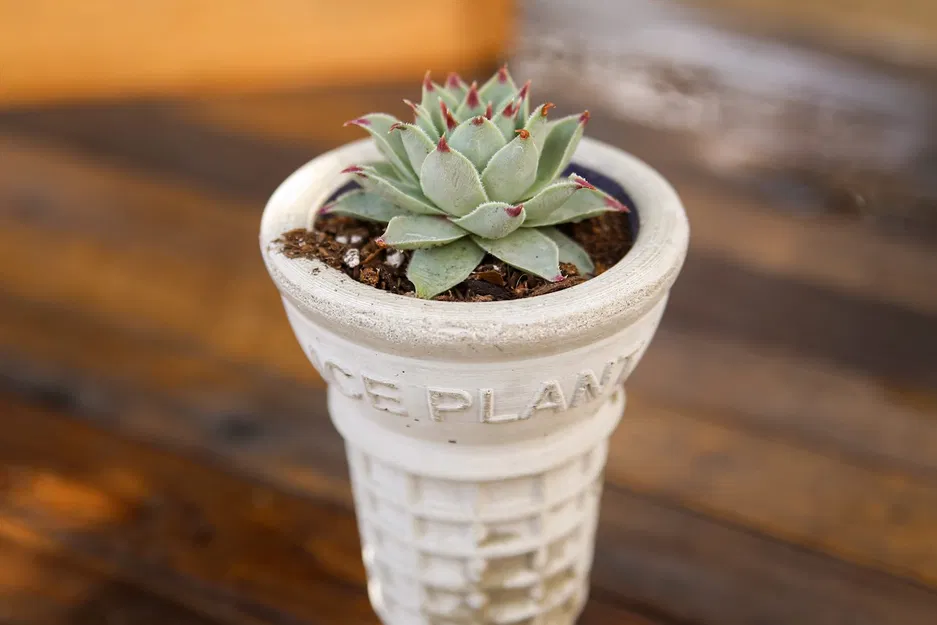 Khuôn bình hoa kem ốc quế cỡ lớn đúc xi măng/thạch cao - Image 5