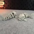 Cá Piranha Xương Khớp Nối (Articulated Skeleton Piranha) - Thumbnail 8
