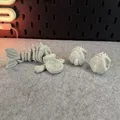 Cá Piranha Xương Khớp Nối (Articulated Skeleton Piranha) - Thumbnail 10