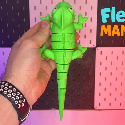 Tắc kè hoa khớp nối Print-in-Place – Flexi multicolor