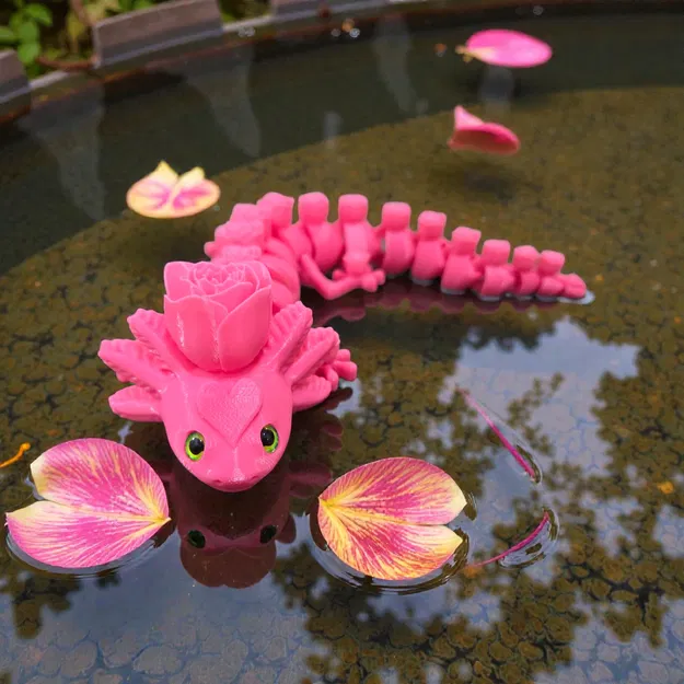 Rosolotl (Axolotl khớp nối) – tương thích mắt kính 6mm + 8mm - Image 2