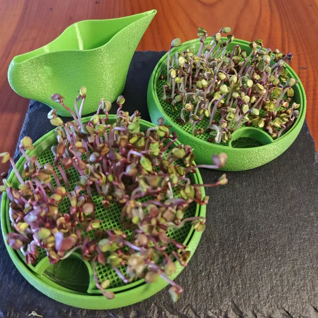Microgreens - Image 1