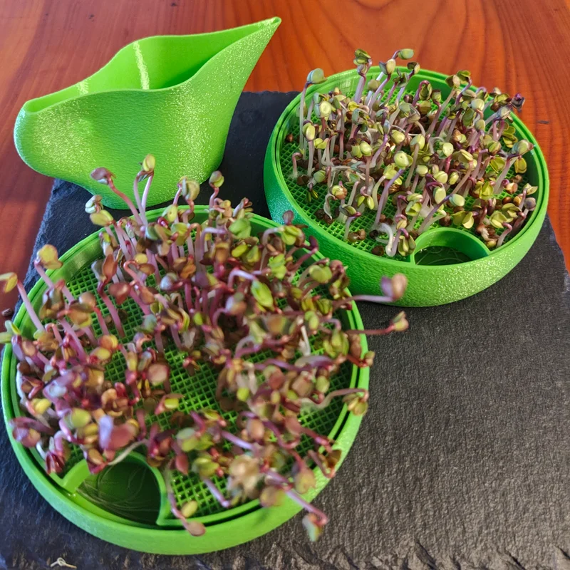Microgreens
