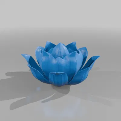 Thiết kế STL đèn hoa sen (Lotus Flower Lamp Design STL)