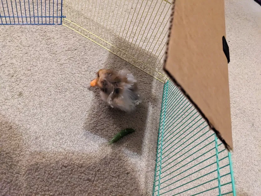 Kẹp Lồng Hamster (Hamster Cage Clips) - Image 8