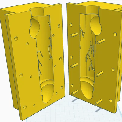 Khuôn nến (dương vật)