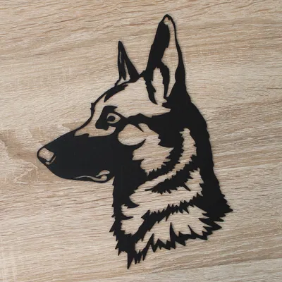 Tranh treo tường chó Malinois (Belgian Shepherd)