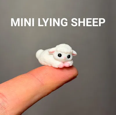 Cừu Mini Nằm (Mini Lying Sheep)