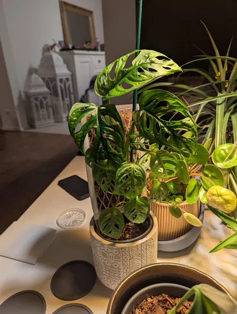 Kê Chậu Cho Tưới Bấc (Insert Cache-Pot Tự Tưới) - Image 2