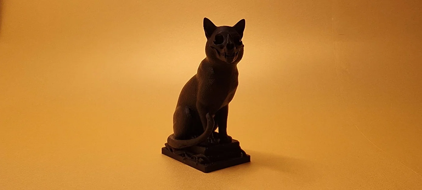 Sọ Mèo (Cat skull) - Image 2