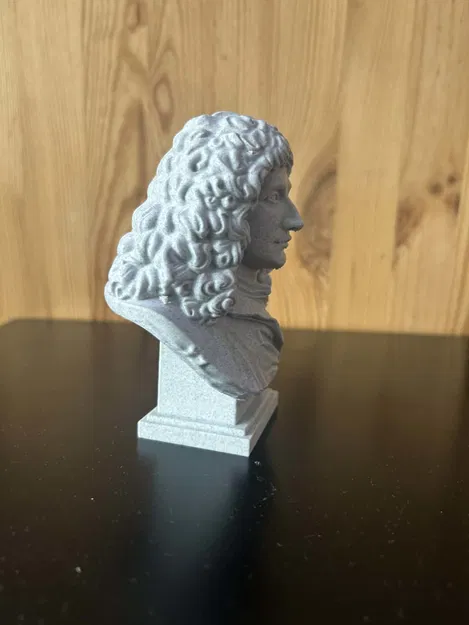 Molière (Jean-Baptiste Poquelin) - Buste - Image 5