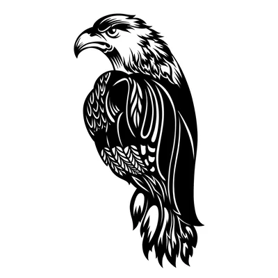 Eagle – Tấm Ốp Tường Trang Trí (Wall Art)