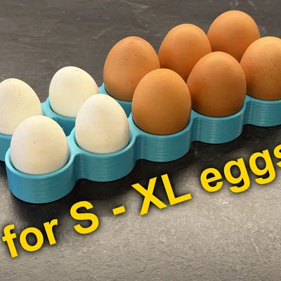 Khay Đựng Trứng Mịn (Smooth Egg Holder) S-XL