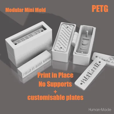 Khuôn Mini Modular bản lề Print-in-place kèm piston cho nhãn 3x10cm