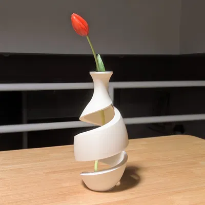 Bình hoa xoắn ốc (Spiral Vase)