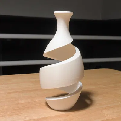 Bình hoa xoắn ốc (Spiral Vase)