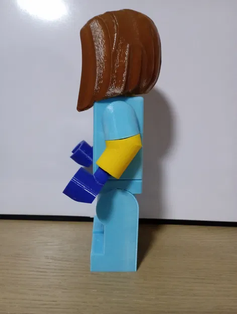 Minifig Khổng Lồ Bác Sĩ Thú Y - Image 5