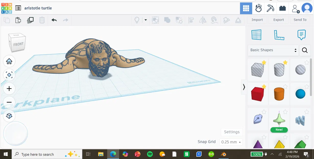 Aristurtle (Rùa Aristotle) – Aristurtle (Aristotle Turtle) - Image 1
