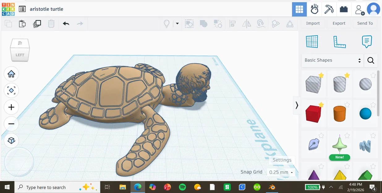 Aristurtle (Rùa Aristotle) – Aristurtle (Aristotle Turtle) - Image 2