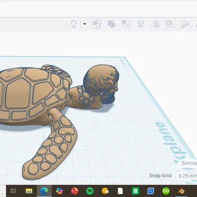 Aristurtle (Rùa Aristotle) – Aristurtle (Aristotle Turtle)