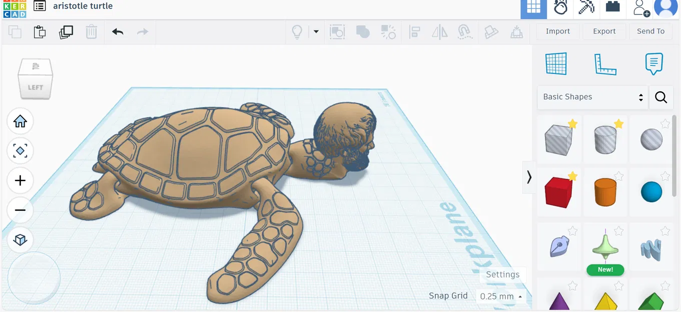 Aristurtle (Rùa Aristotle) – Aristurtle (Aristotle Turtle) - Image 3