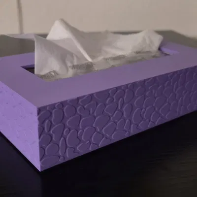 Nắp Hộp Khăn Giấy Trang Trí (Họa Tiết Hữu Cơ)