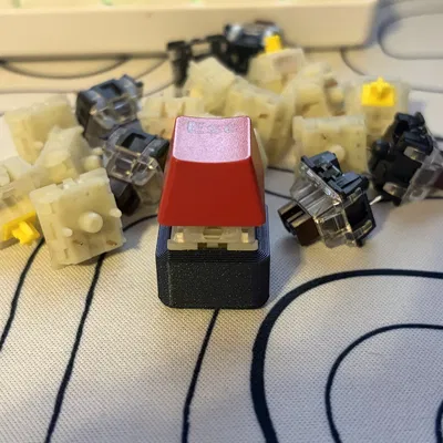 Fidget Clicker – Đồ chơi bấm click 3D print