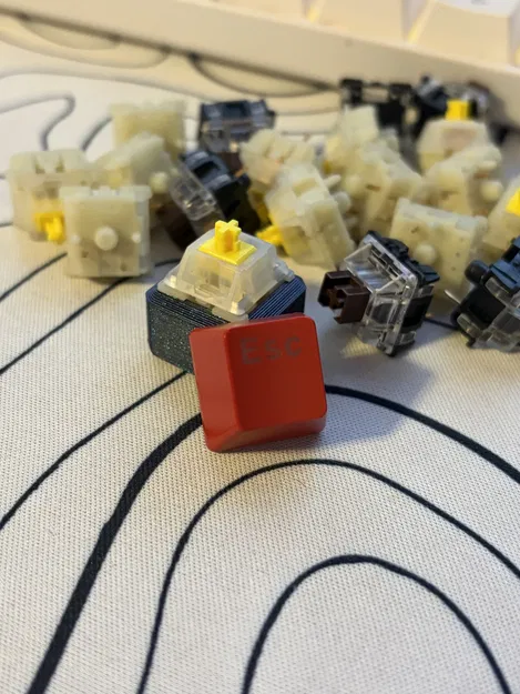 Fidget Clicker – Đồ chơi bấm click 3D print - Image 2