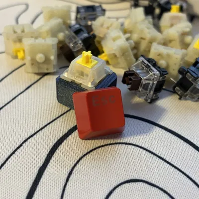 Fidget Clicker – Đồ chơi bấm click 3D print