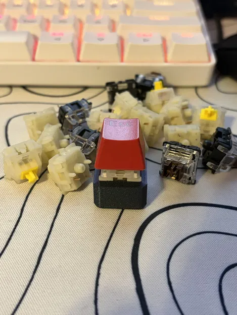 Fidget Clicker – Đồ chơi bấm click 3D print - Image 3