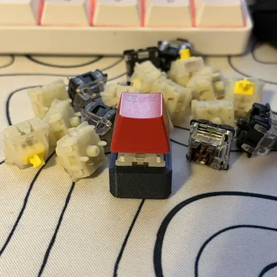 Fidget Clicker – Đồ chơi bấm click 3D print