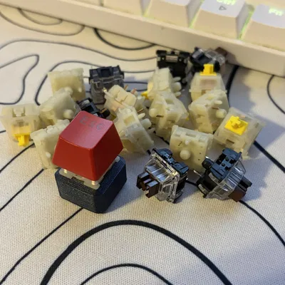 Fidget Clicker – Đồ chơi bấm click 3D print