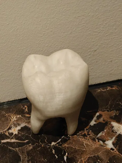 Răng (tooth) có ngăn bí mật – Hidden compartment toth - Image 2