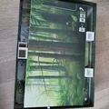 Forest Shuffle Insert - Thumbnail 3