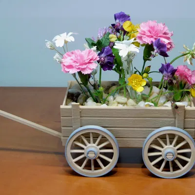Giỏ xe chở hoa (Flowers in a cart)