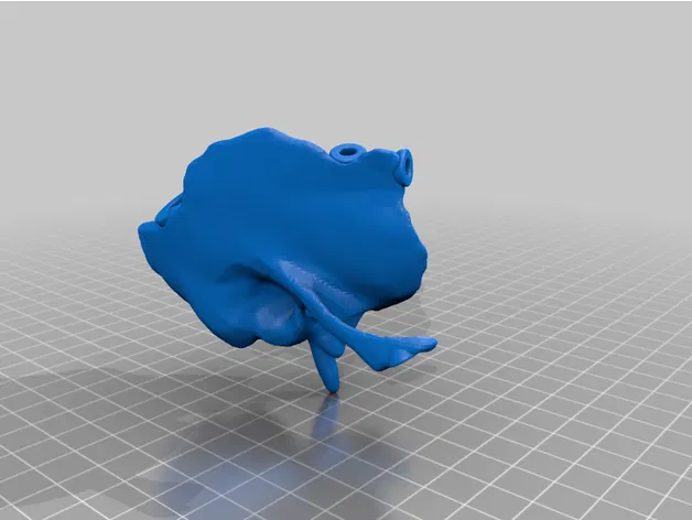 Mô hình hộp sọ người kích thước thật, đúng giải phẫu, 18 mảnh gắn nam châm - Image 21