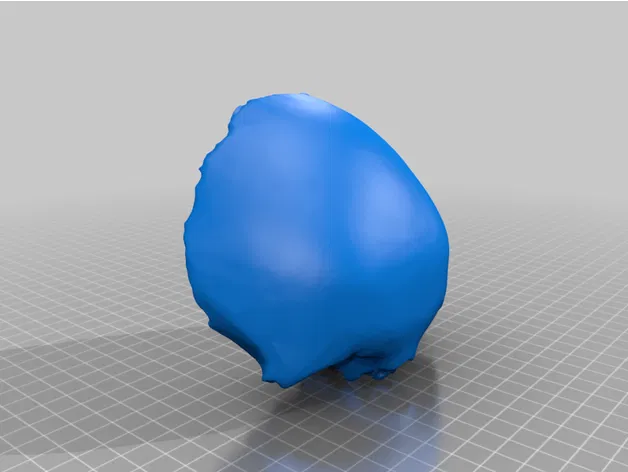 Mô hình hộp sọ người kích thước thật, đúng giải phẫu, 18 mảnh gắn nam châm - Image 22