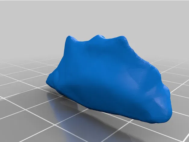 Mô hình hộp sọ người kích thước thật, đúng giải phẫu, 18 mảnh gắn nam châm - Image 23