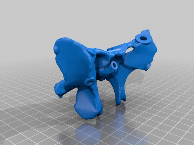 Mô hình hộp sọ người kích thước thật, đúng giải phẫu, 18 mảnh gắn nam châm - Image 29