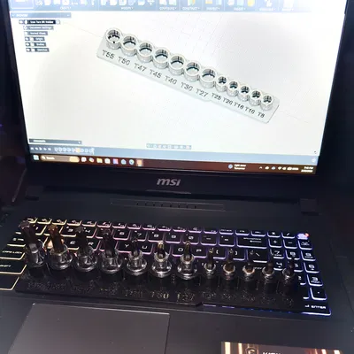 Khay giữ mũi Icon Torx | T55 - T8