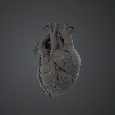 Trái Tim Giải Phẫu Cơ Khí – Steampunk Cybernetic