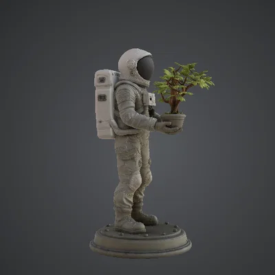 Phi hành gia ôm cây Bonsai – Người làm vườn ngoài không gian